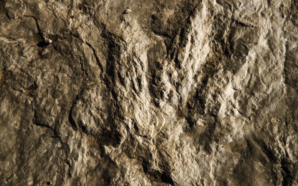 У наскельних малюнках виявили сліди динозаврів віком 145 млн років