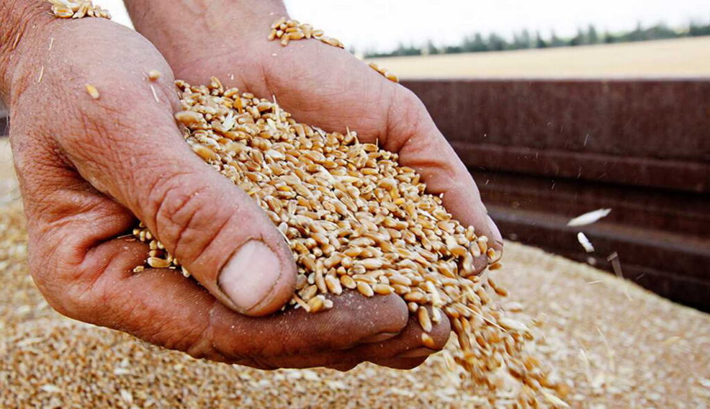Франція теж вимагає обмеження імпорту українського зерна