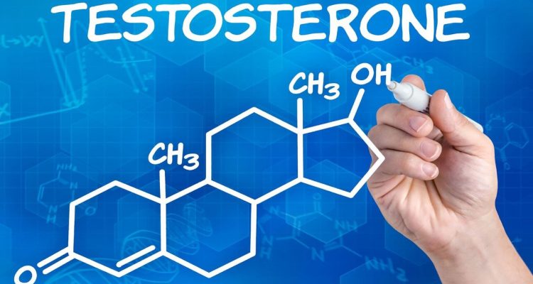 Тестостерон не допоможе чоловікам досягти успіху в житті