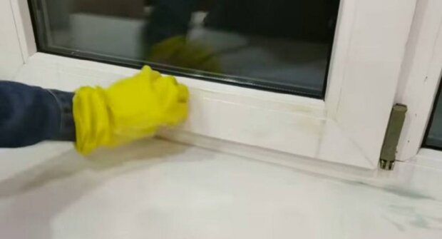 Фахівці розповіли, як помити вікна на кухні за допомогою домашнього продукту