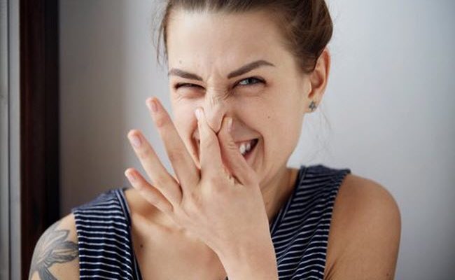 zapah7654354-650×400-1