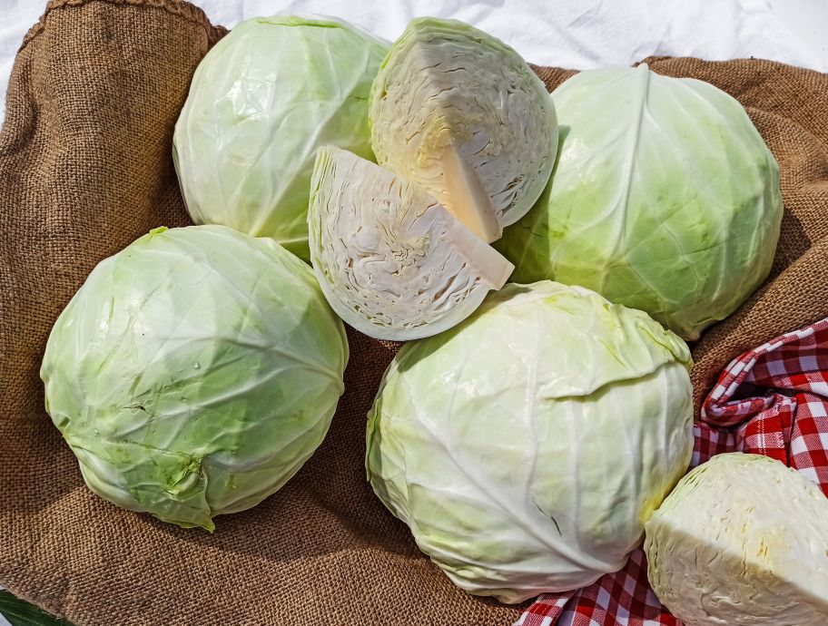 Корисно та смачно: рецепт вітамінного салату з різних видів капусти